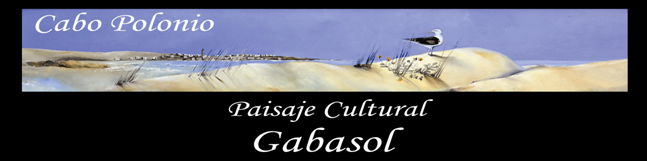 logo gabasol